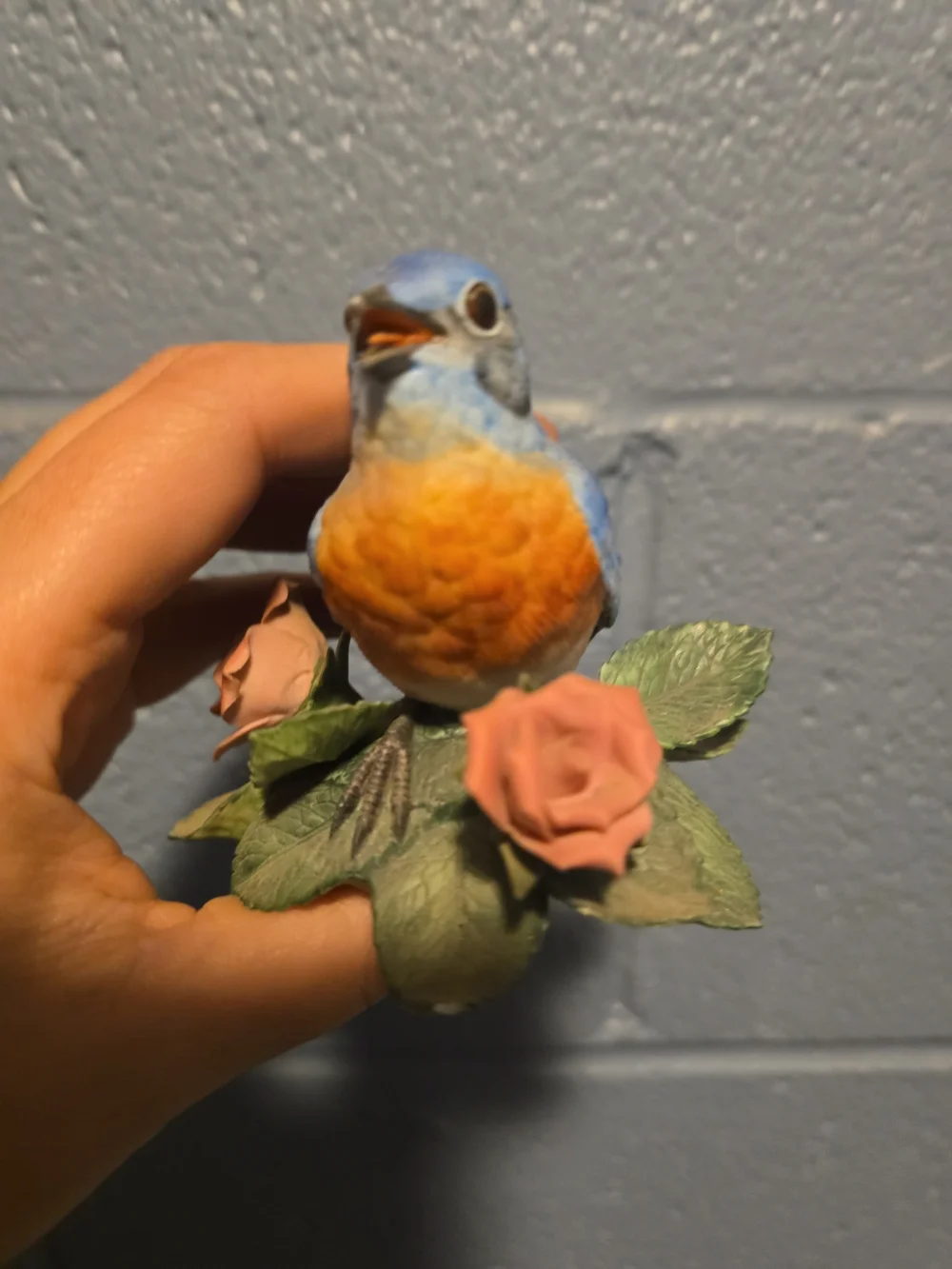 N/A beautiful blue